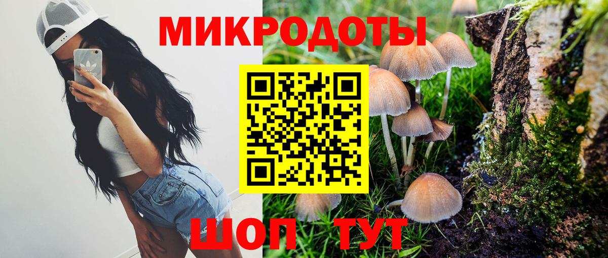 Галлюциногенные грибы мухоморы Избербаш