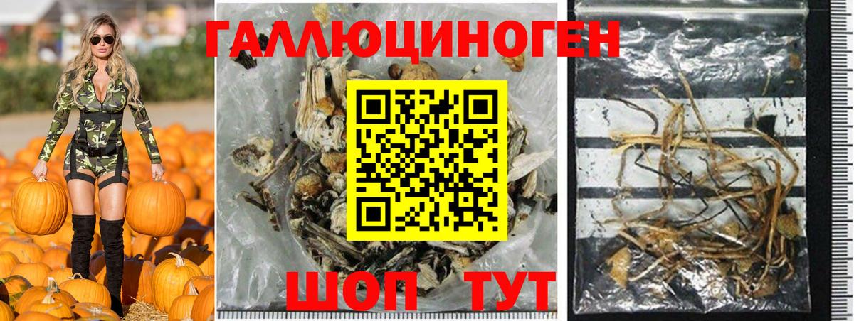 Избербаш  Псилоцибиновые грибы Magic Shrooms  Галлюциногенные грибы мицелий  Вход с VPN 